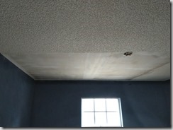 IMG_20181201_141350
